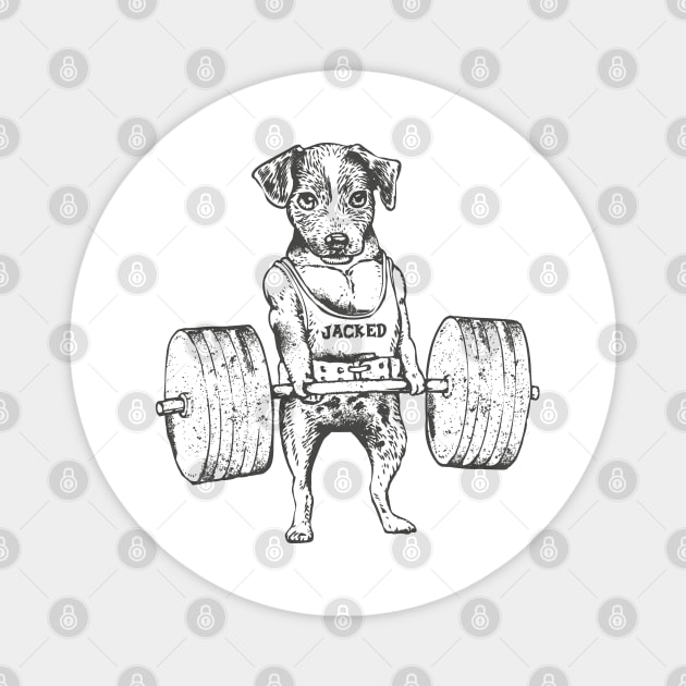 Jack Russell Terrier Lift Magnet by huebucket